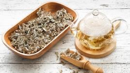 Islandský lišejník: drsňák, který pomáhá při ztrátě chuti k jídlu a oslabené dýchací soustavě