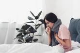 Abys mohla léčit kašel, potřebuješ nejdřív zjistit, který druh máš. Abys mohla léčit kašel, potřebuješ nejdřív zjistit, který druh máš.