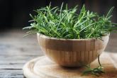 Rozmarýn je úžasná bylinka, která tě překvapí svou vůní, chutí i využitím.
