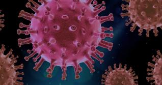 Koronavirus se na površích drží pěkně dlouho.