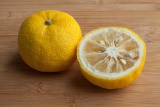 Yuzu je malý citrusový plod původně z Číny a Tibetu.