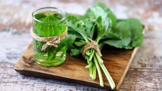 Jitrocel je úžasný přírodní lék hned na několik zdravotních potíží. Jitrocel je úžasný přírodní lék hned na několik zdravotních potíží.