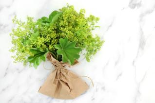 Kontryhel jako by příroda navrhla přesně pro ženské zdraví. Kontryhel jako by příroda navrhla přesně pro ženské zdraví.