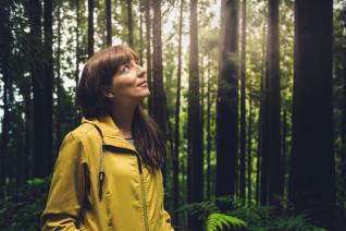 Japonská terapie lesem je skutečně blahodárná.
