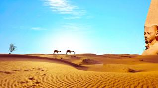 Do Egypta už zase turisté létají bez větších obav.