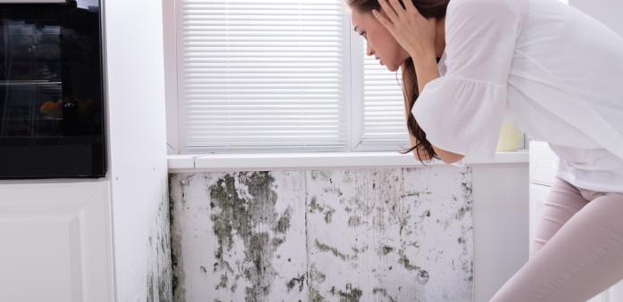 Plísně na oknech nejen hyzdí domácnost, ale hlavně jsou škodlivé pro naše zdraví.