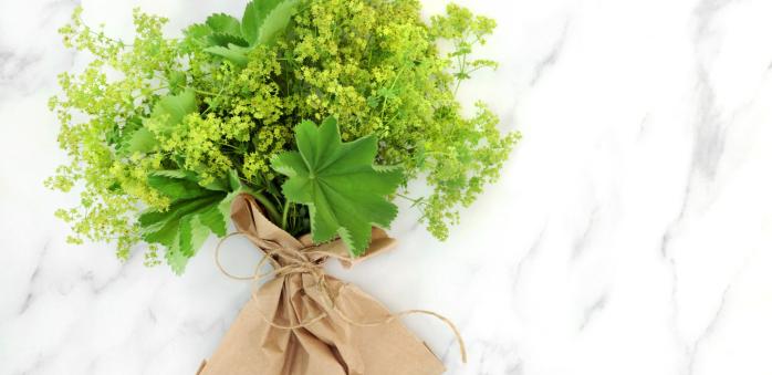 Kontryhel jako by příroda navrhla přesně pro ženské zdraví.