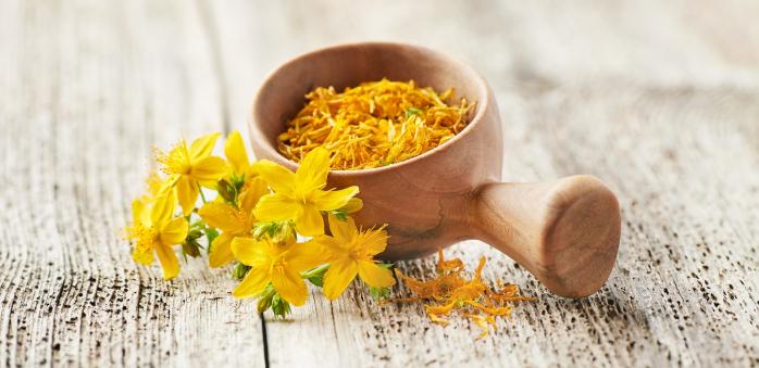 Třezalka je balzámem na duši, ale pomůže třeba i se spáleninami.