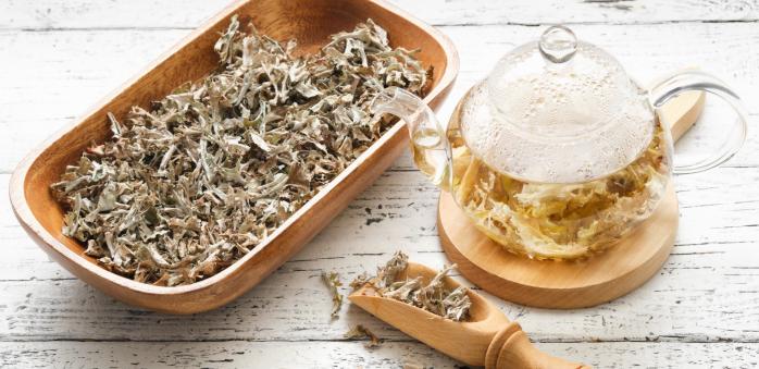 Islandský lišejník neboli pukléřka islandská je pomocník z říše hub.