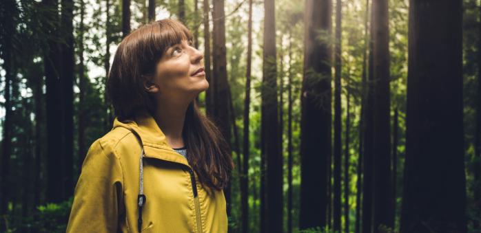 Japonská terapie lesem je skutečně blahodárná.