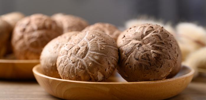Houba shiitake patří k vitálním (nebo taky medicinálním) houbám.