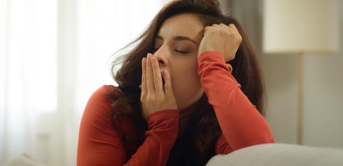 Může žít skřivan se sovou v jedné domácnosti? Ano!