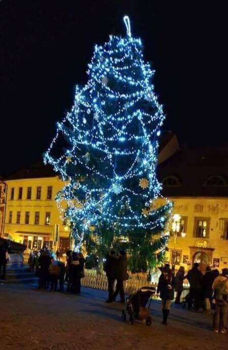 Některé stromky v republice jsou spíš pro ostudu.