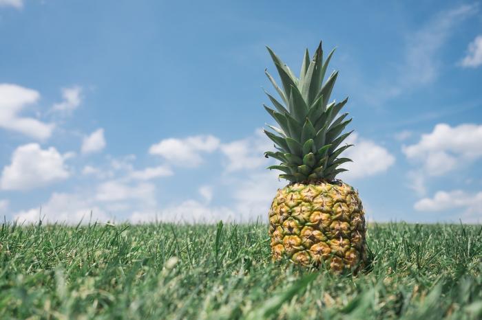 Ananas obsahuje bromelin, který pomáhá bojovat s nadbytečnými tuky.