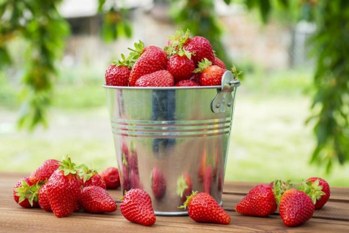 Jahody tě nabijí vitamíny a minerály a navíc ani neobsahují moc cukru.