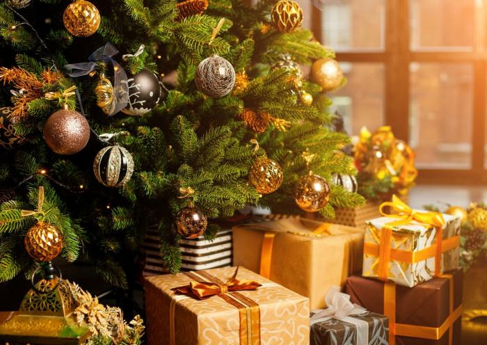 Jak vybrat vánoční stromek, jak o něj pečovat a jak ho zlikvidovat? Poradíme!
