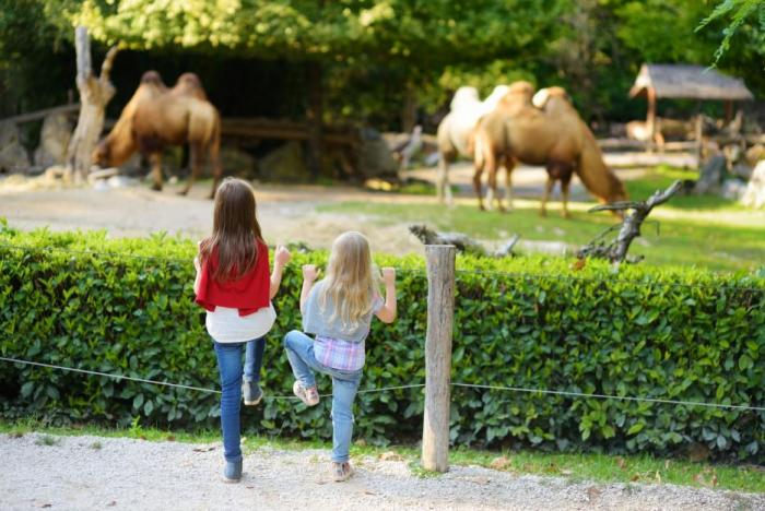 Děti zoo milují.