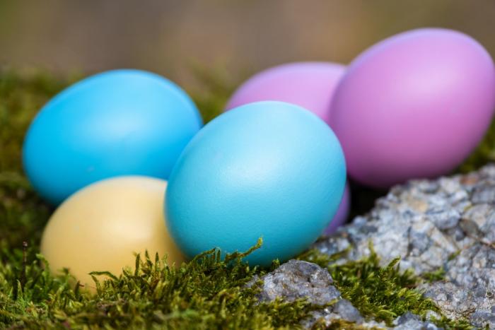 Na přírodním barvení vajíček není nic těžkého.