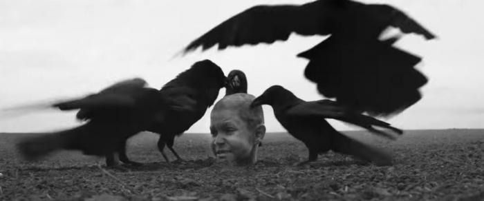Nabarvené ptáče je psychologické drama plné sadismu, sodomie, pedofilie nebo týrání zvířat.