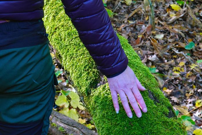 Během téhle terapie praktikuješ mindfulness. V přírodě!