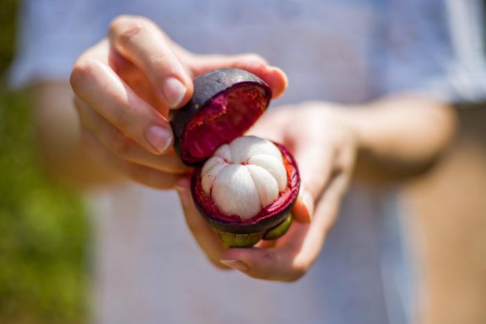 Mangostan vzbuzuje zvědavost už svým vzezřením.