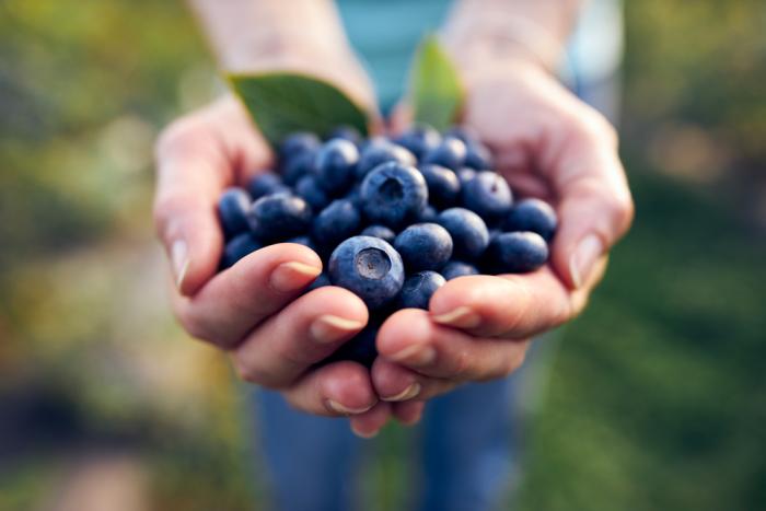 Borůvky jsou nabité antioxidanty. Tak si je občas dopřej!