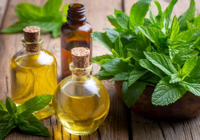 Máta neodmyslitelně patří do aromaterapie. Zkoušela jsi ji?