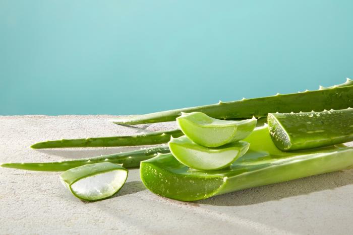 Spálení od sluníčka? Aloe vera na něj krásně zabírá!